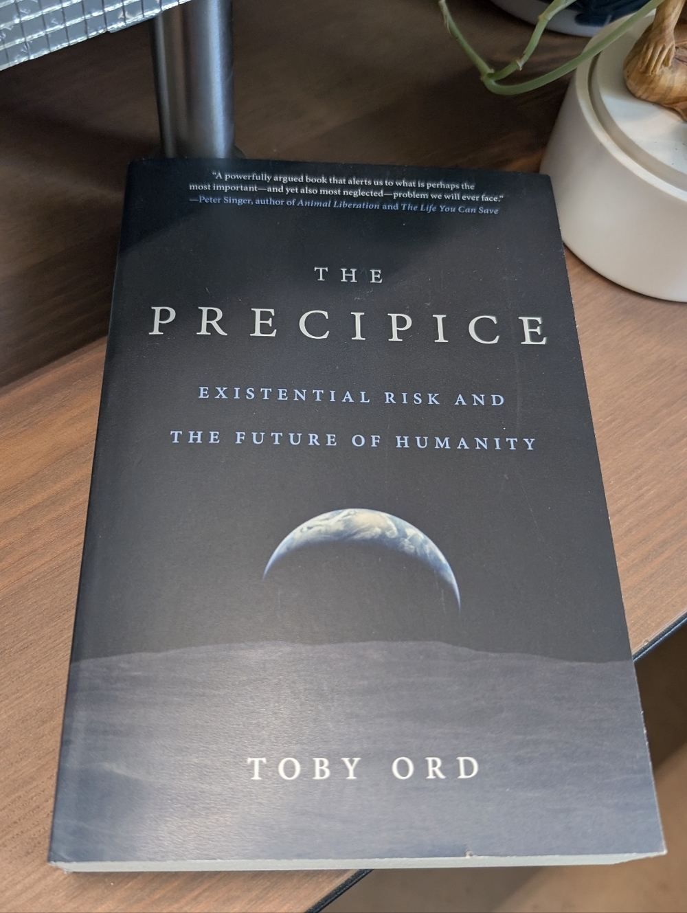 2/$10 - The Precipice - Toby Ord